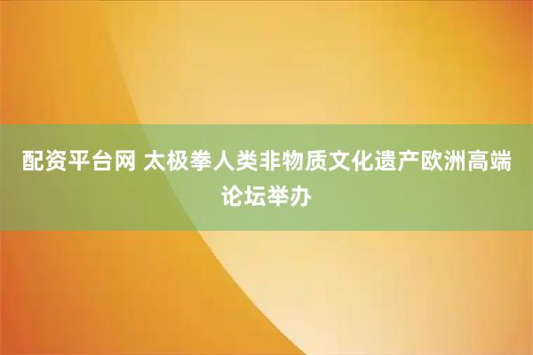 配资平台网 太极拳人类非物质文化遗产欧洲高端论坛举办