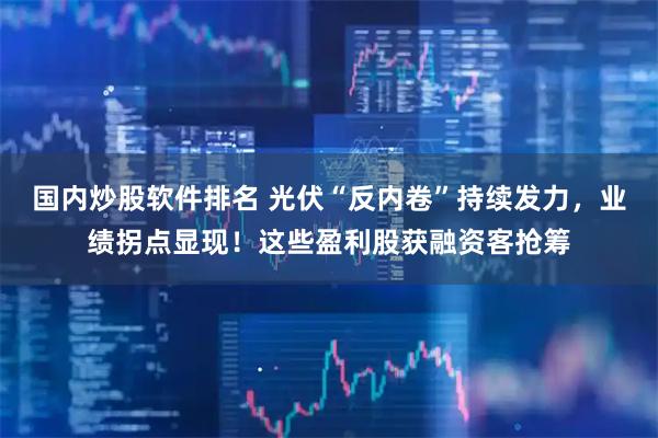 国内炒股软件排名 光伏“反内卷”持续发力，业绩拐点显现！这些盈利股获融资客抢筹